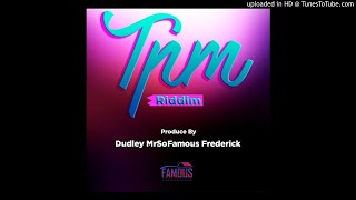 T.P.M. RIDDIM MIX BY DJSHY