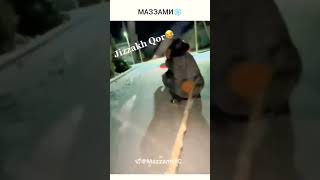 jizzakh qor😂 #tiktok #shorts #jizzakh