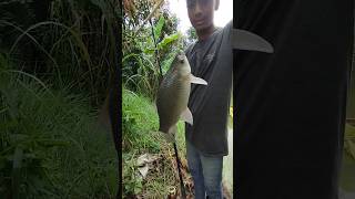 #fishing #cathing fish