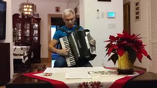 The Second Waltz  - Accordion