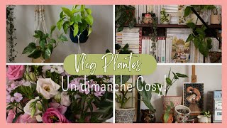 Vlog l Un dimanche avec une plantaddict!