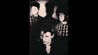 Cocteau Twins Cico Buff Live at Royal Oak Theatre Detroit, 1990