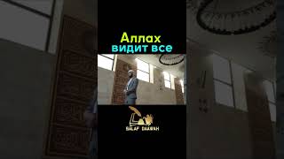 Аллах видит всё