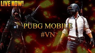 PUBG mobile-live stream 1