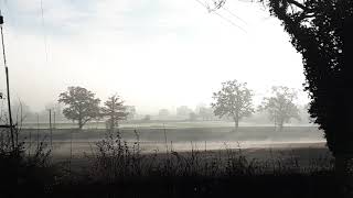 misty day by the canal