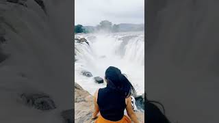 Amazing spot #hogenakkalwaterfalls  #shorts #reels #instagram #viral