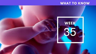 35 Weeks Pregnant | What To Know