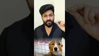 case 31: R u a pet lover? விலங்குகளை கொடுமை செய்பவர்கள் மீது புகார் அளிப்பது எப்படி #petlovers #dog