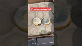 Отличные лимоны в Aldi #германия  #vlog #aldi