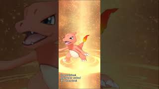 Evolving my Charmander into Charizard/POKEMON MASTERS EX