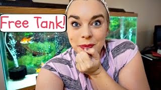 CJ's Aquariums 8k Nano Tank Giveaway