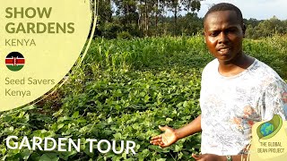 Field Tour (June) – Seed Savers Kenya 🇰🇪 #1 | Global Bean Show Gardens