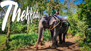 Thekkady | Elephant Ride | Periyar Tiger Reserve