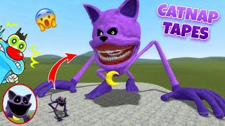 What If Catnap Became CATNAP TAPES in Garry's Mods Sandbox With Oggy And Jack