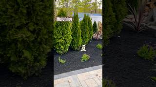 Mulching!!! #diy #garden #landscape #contractor #tools #lawn #plants