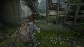 The Last of Us Part II - Hillcrest Houses Grounded Quick Play (No Damage)