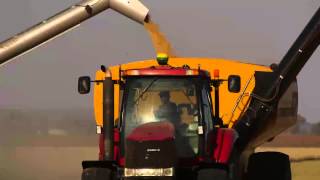 5. Harvesting Rice