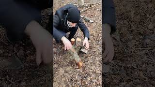 Survival bushcraft skills 🔥✅ #bushcraft #survival #camping #outdoors