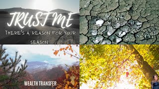 Wealth Transfer | 3/1/24 God Said (Trust Me) Part 1 | The Journey of Vision