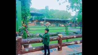 WISATA KEBUN BINTANG SURABAYA TERBARU @manise580