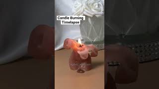 Burning candle 🕯️#satisfyingvideo #candles