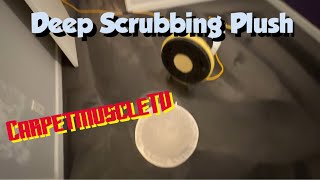 Deep scrubbing a plush carpet at 325 rpm. Carpet cleaning vlm