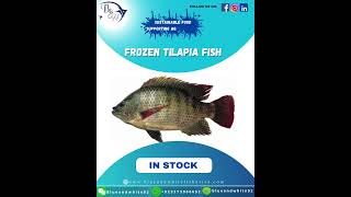 •PRODUCT: FROZEN TILAPIA FISH.#sustainableseafood•SIZE: (100-200), (200-300)grams pieces per kg