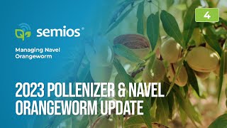 #4 Pollenizer Hull Split Forecast & 3rd Navel Orangeworm Flight