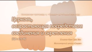 3 МИНУТКИ_Церковь, возрастающая посредством соединения и скрепления (Ефc.4:15-16)