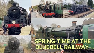 Spring-Time at the Bluebell Railway l 24/3/24