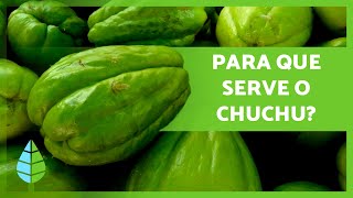 BENEFÍCIOS DO CHUCHU 🍐 Propriedades, Modo de Preparo e Contraindicações ✅