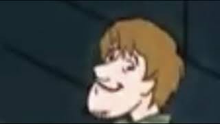 Shaggy is Dummy Thicc