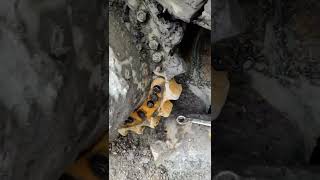 Konten Sampah #60 Replace Segmen Bulldozer D8R #shorts #shortvideo #youtubeshorts #tambang #mechanic