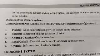 Diseases Of Urinary System##Glomerulomephritis##Pyelitis##Anuria##Cystitis##with Vivek