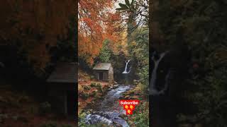 Nature Beauty full fill with Relaxing Sounds #shorts