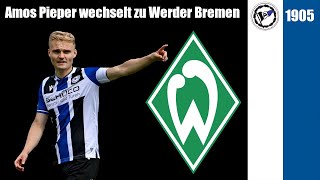 Transfernews #01 - Amos Pieper wechselt zum SV Werder Bremen / Danke für 3 Jahre Arminia!