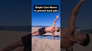 Easy stability moves for a stronger spine  #shorts #fitness #corestrength #physiotherapy #backpain