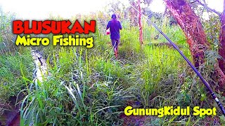 BLUSUKAN!!! Mencari Spot || Micro Fising Gunungkidul