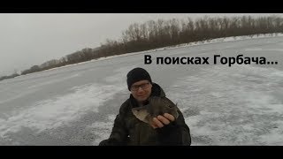 В поисках горбача...