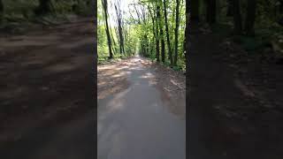 April 10, 2020 ASMR Băneasa Forest, Bucharest