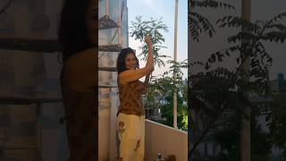 One fine evening….#bengali #minivlog #lifestyle #shorts