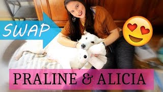 SWAP CANIN #3 - Avec PRALINE ET ALICIA ✿ Enjoying Life