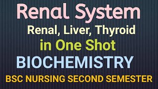 Renal System in Biochemistry| ONE SHOT