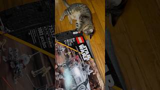 Cat VS LEGO Box!