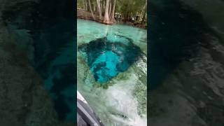 JETSKI GINNIE SPRINGS CLEAREST WATER CAVERNS