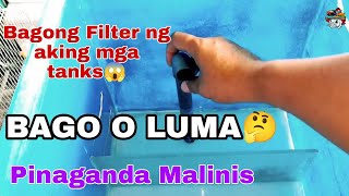 Bagong AQUARIUM FILTER SET-UP ng aking mga tank 😱 mas PINAGANDA at MALINIS...