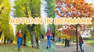 AUTUMN SEASON IN DENMARK