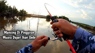 MANCING DI PINGGIRAN MUARA DAPAT IKAN GEDE || UMPAN UDANG HIDUP