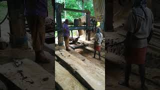 Sawmill visit || How wood cutting machine works #woodworking #machine #furnituremaking #shorts