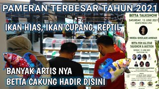 PAMERAN IKAN HIAS CUPANG DAN REPTILE TERBESAR 2021 || Bc cakung Hadir disini